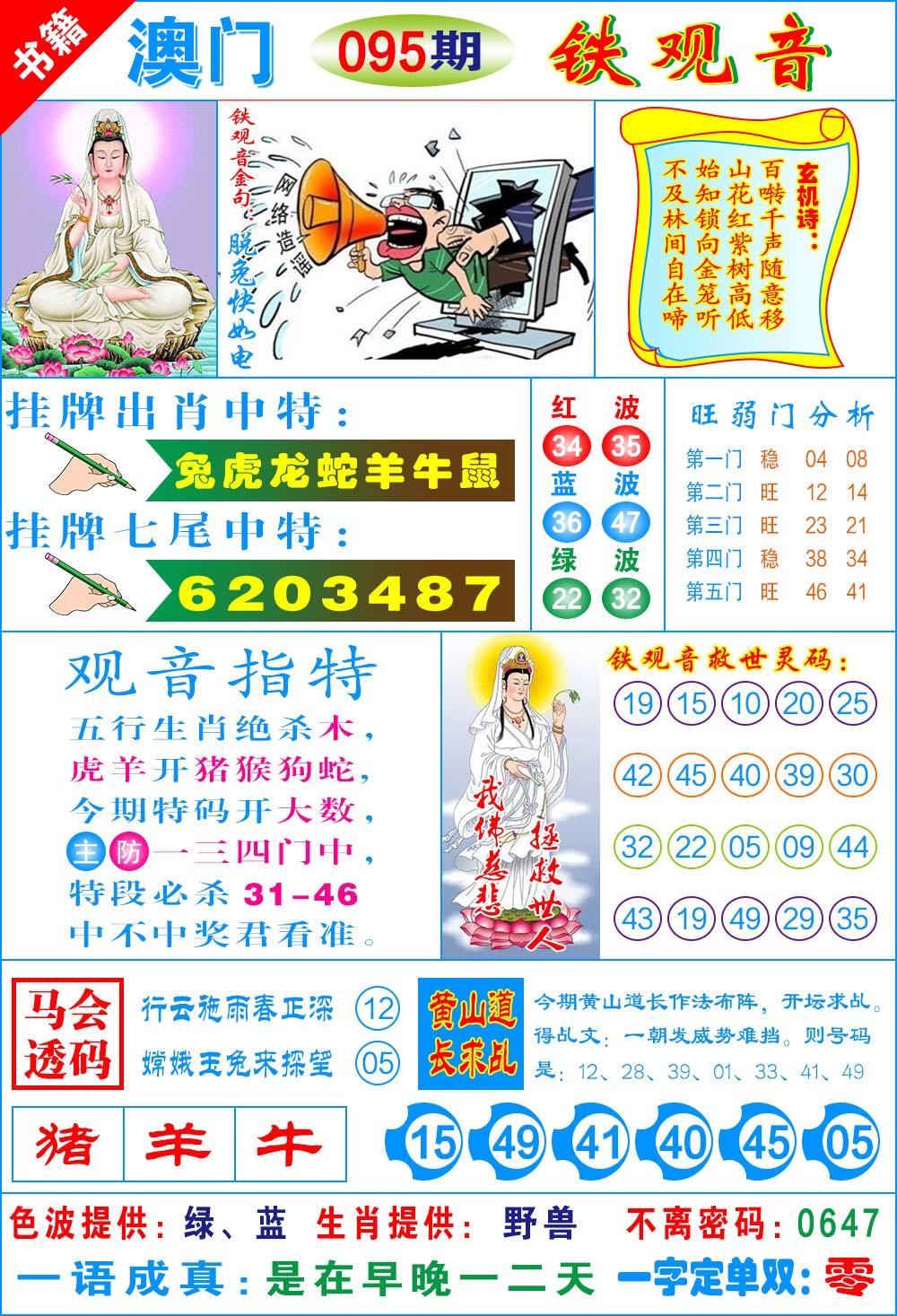 095期澳门铁观音[图]